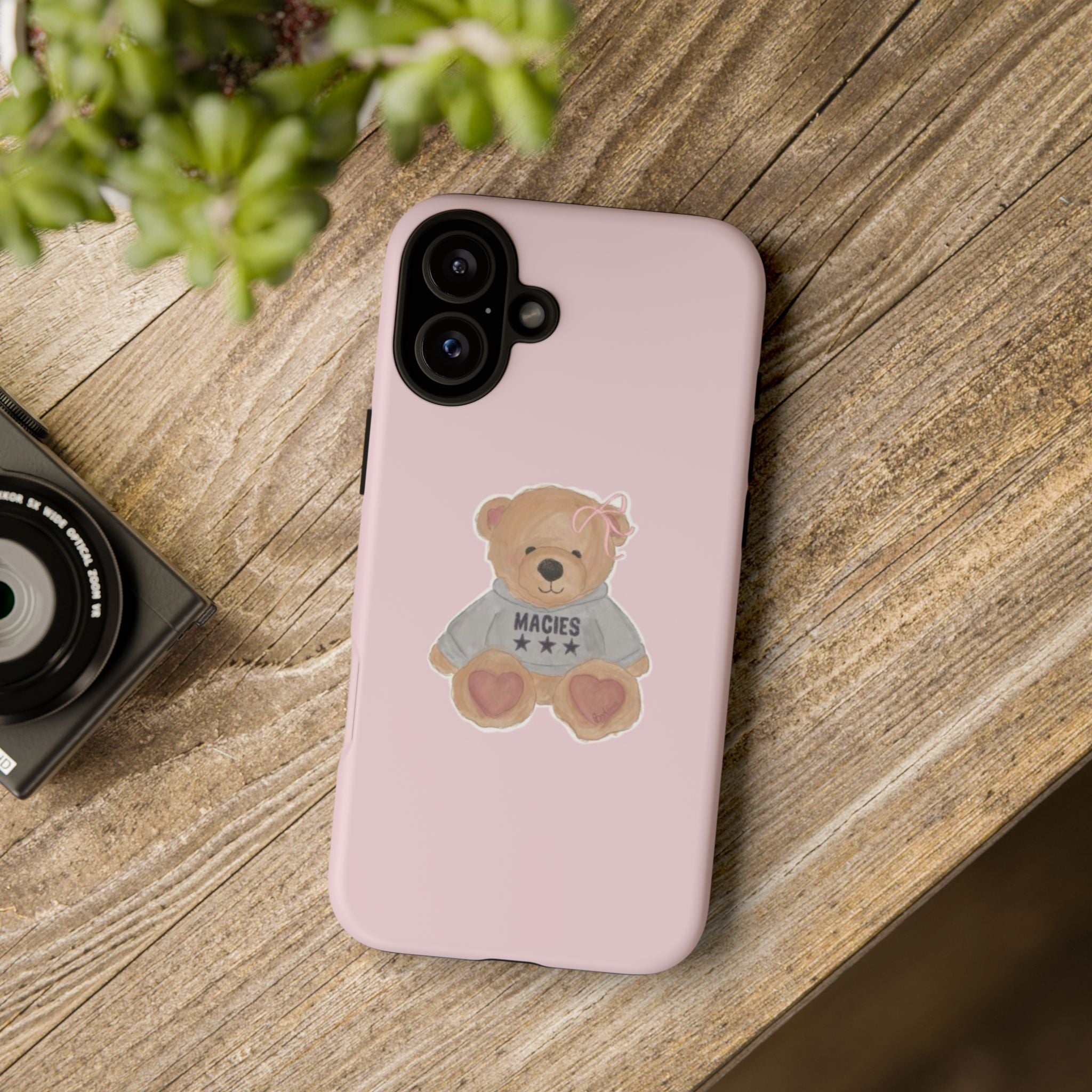 TEDDY case