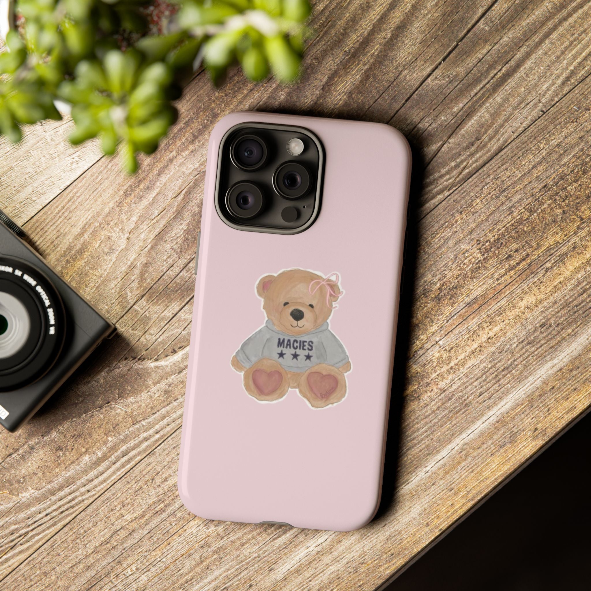 TEDDY case