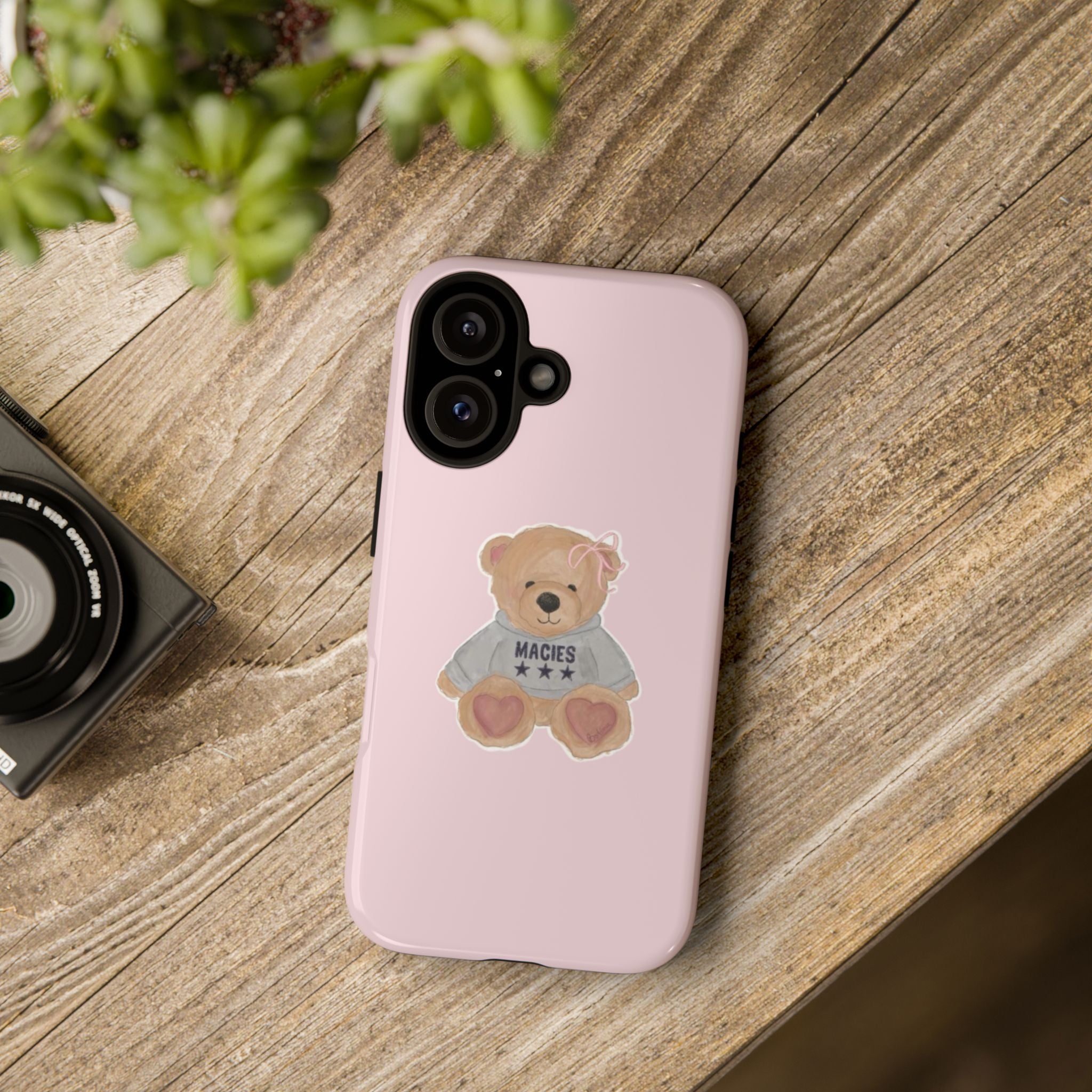 TEDDY case