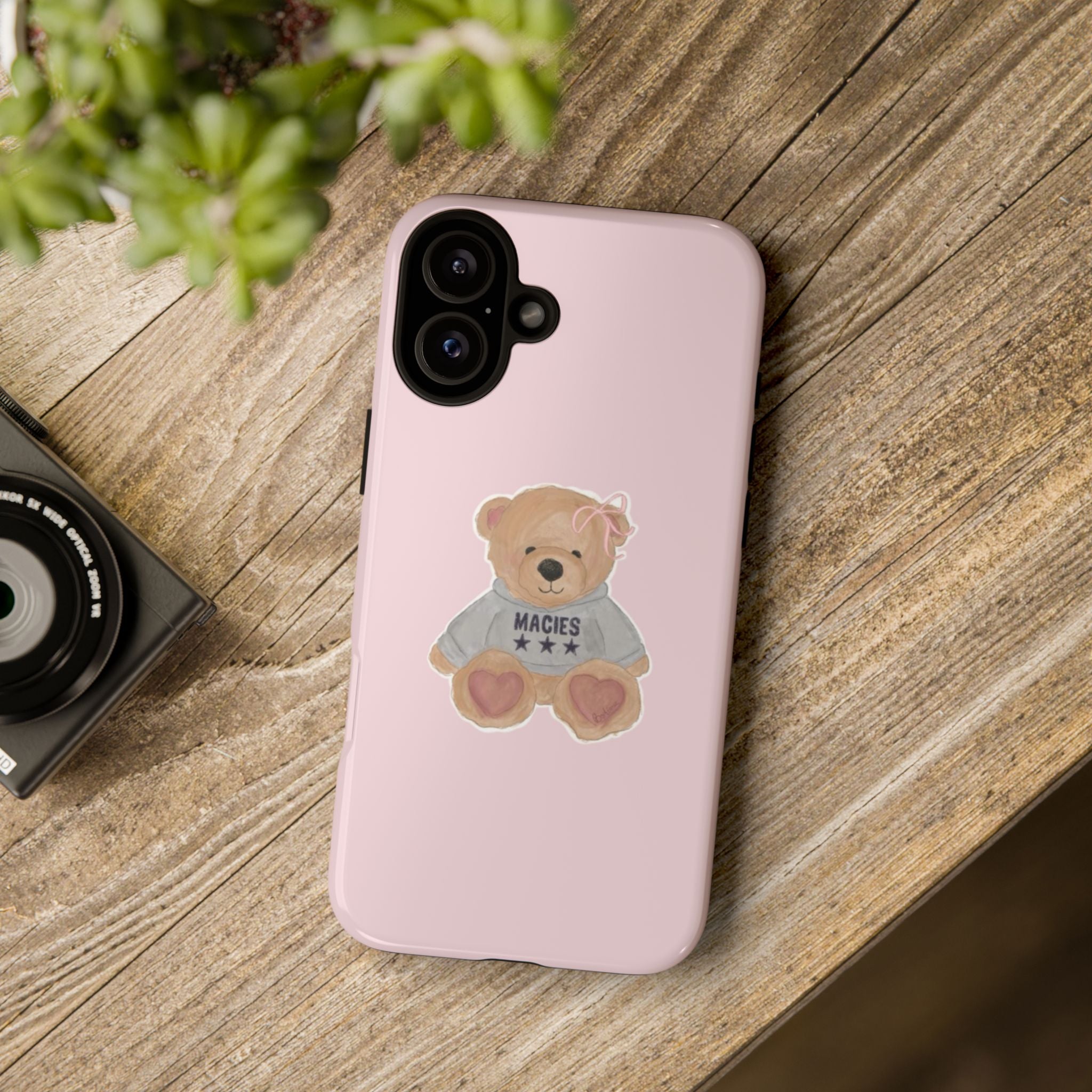 TEDDY case